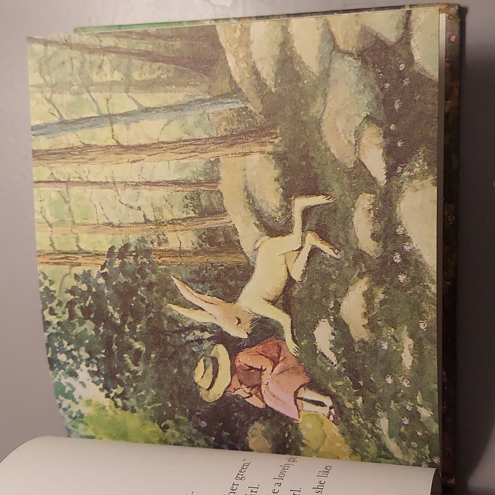 ❤️ Mr. Rabbit And The Lovely Present - Picture 11 of 16